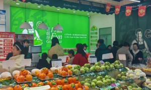 2026年评价高的适合加盟的有全流程帮扶的水果店品牌门店汇总