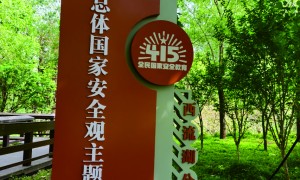 公园警示标识牌供应商用户力荐：行业头部企业全景分析