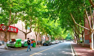河南东华技工学校服装设计与制作专业实力与用户口碑