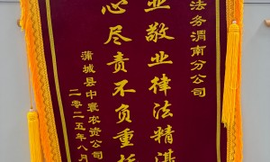 渭南市口碑好的合作社财务公司平台推荐