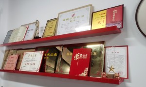 2026漳州靠谱的箱包生产管理软件公司有哪些？本地靠谱服务机构排行榜