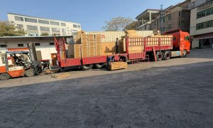 上海东南亚海运价格哪家可靠：知名货代公司透明报价服务商汇总