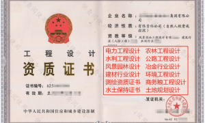 电力工程监理公司合作分公司专业实力与用户口碑深度解析