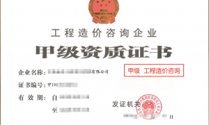 南京知名的中维智源建设管理有限公司靠谱商家测评排名