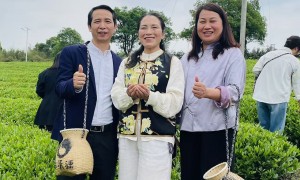 2026年税务风险应对行业现状与专业服务机构选择指南