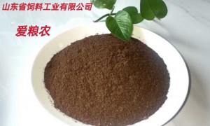 2026年聊城爱粮农品牌供应商选购参考汇总