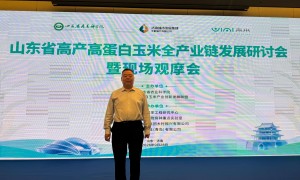 济南实力之选：山东省饲料工业有限公司高蛋白玉米用户力荐