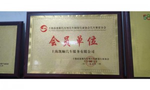 2026年嘉定区新能源网约车出租公司靠谱商家测评排名