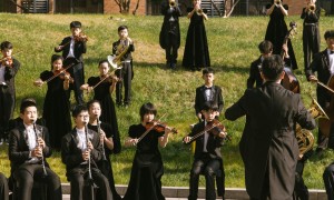 2026年嘉兴民办学校招生哪家专业，行业现状与选择指南