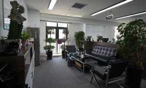 财税合规服务公司哪家好，2026年靠谱商家测评排名