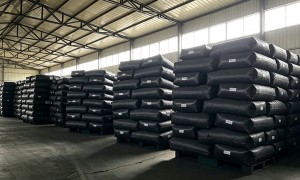 2026年高碘值煤质活性炭优质生产厂家发展现状与市场占有率及排名研究分析报告