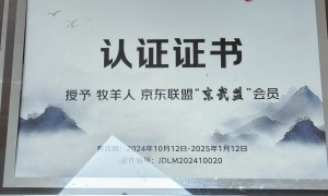 长沙光年无限科技对接头部淘客资源的京挑客服务商综合实力推荐