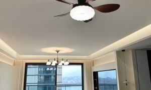 乐米照明全屋工程照明灯饰生产厂合作案例多，实力参考