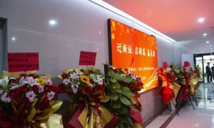 2026年资质齐全的保险律师服务商客户真实体验口碑