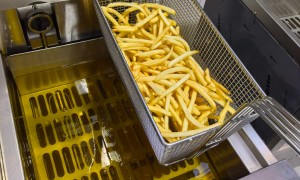 2026年炸炉品牌哪个耐用，正规生产厂家用户力荐