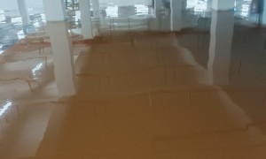 巨盛地坪专业吗