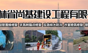 2026年短管置换修复行业现状与选择指南