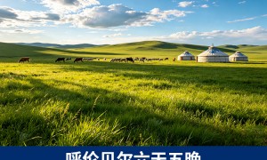 2026年伊春旅游哪家旅行社好、口碑公司推荐