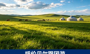 2026年呼伦贝尔漠河北红村包车价格与十人团旺季服务商实力推荐