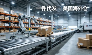 2026年深圳靠谱的希音一件代发服务商有哪些