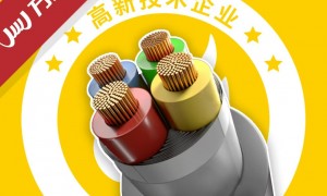 广东热门的电线电缆工厂，价格实惠的供应商推荐，用户力荐