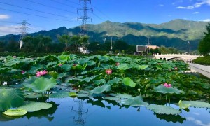北京海淀学车选哪家？海淀驾校资质齐全广受信赖