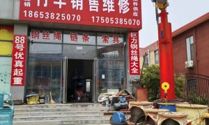 2026年淄博有本地化服务的起重设备厂家，泰安优真起重满足定制需求