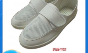 上海晨隆静电科技有限公司：PVC抗静电剂定制服务与市场占有率研究报告