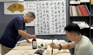 南山区知名的软笔书法培训学校服务评选