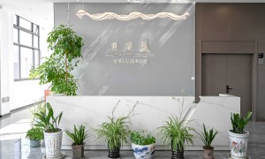 8条装竹纤维厨房抹布 强力吸水速干 清洁灶台油烟机 易清洗不沾油 贝丝美