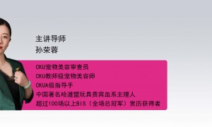 哈道盟宠物美容师培训学校规模实力如何