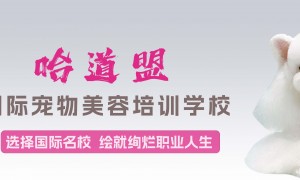 山西哈道盟宠物美容师培训学校，北京培训学校推荐，为学员未来发展负责