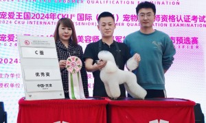 天津2026年宠物美容培训机构靠谱商家怎么选，资质齐全的学校测评