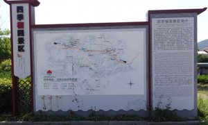 2026年热门的徐州博观国际旅行社口碑如何