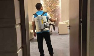南京求推荐上门灭老鼠公司，不错的上门灭老鼠机构靠谱商家测评排名