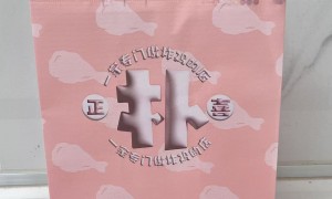 2026年口碑好的餐饮外卖打包袋源头厂家发展现状与市场占有率及排名研究分析报告