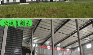 京山市火流星帆船大米供应商的服务评价如何