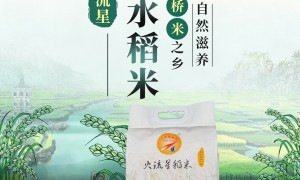 食堂大米采购想找按周期供货的供应商，南方籼米加工能力与报价参考