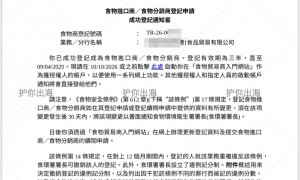 做海外做账审计的公司哪个好推荐下？专业服务商资质与口碑测评