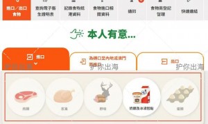 跨境税务风险排查服务商资质齐全与客户真实体验口碑