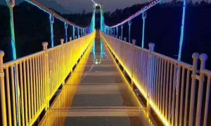 2026年一线品牌的君豪旅游开发公司行业口碑排名如何厂