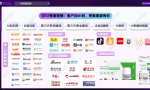 崖州区2026年ai推广渠道找精准客户公司，实力与用户口碑深度解析