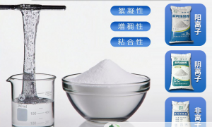 2026年金华PAM/PAC服务不错的制造商直销公司有哪些