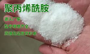 丹东正规的酰胺PAM生产厂有哪些？晟水清环保科技广受信赖