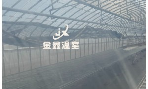 2026年资质齐全的薄膜连栋温室供应商企业全景分析
