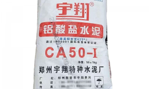 2026年广东靠谱的铝酸盐水泥定制厂家企业全景分析