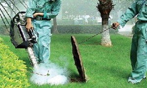 2026年信誉好的室内空气治理品牌企业客户真实体验口碑