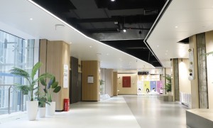 2026株洲公考线下班找哪个合适：专业机构推荐