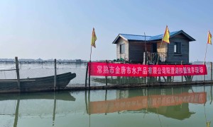 正宗阳澄湖大闸蟹源头企业推荐，资质齐全冷链直达