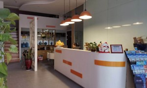 宁波假日旅行社地接社综合实力推荐：广受信赖的本地服务商
